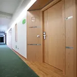Exe Palmas